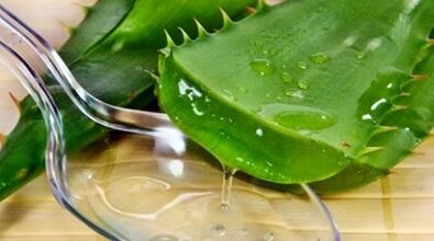 Aloe će povećati potenciju muškaraca
